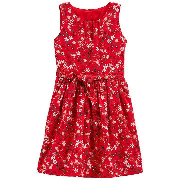 Сукня Carter's для дівчинки (3M026310_5) 