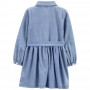 Сукня Carter's для дiвчинки 88-93 см (2M017810_2T)