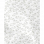 Комплект 3в1 Carter's боді та лосини для хлопчика (55-61cm) (1L762310_3M)