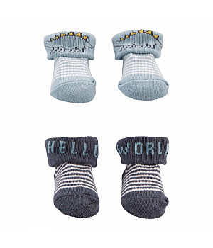  Шкарпетки для хлопчика (46-55cm) (1L766110_NB)