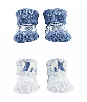 Комплект шкарпеток Carter's 4в1 для хлопчика 46-55 см (1P553410_NB)