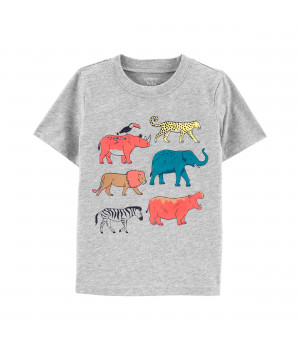 Футболка для хлопчика  (2K392410_5T)