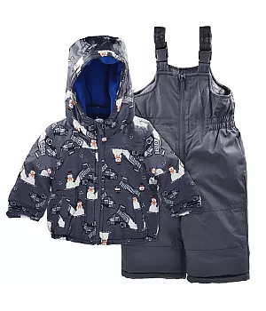Комплект Carter's 2в1 куртка напівкомбінезон для хлопчика 72-76 см (C2236S05_12M_GREY)
