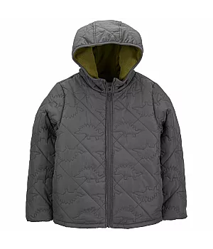 Куртка Carter's для хлопчика 102-108 см (C223E85_4_GREY)