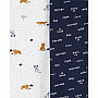 Комплект боді Carter's для хлопчика 5в1 (1I730810_6M)